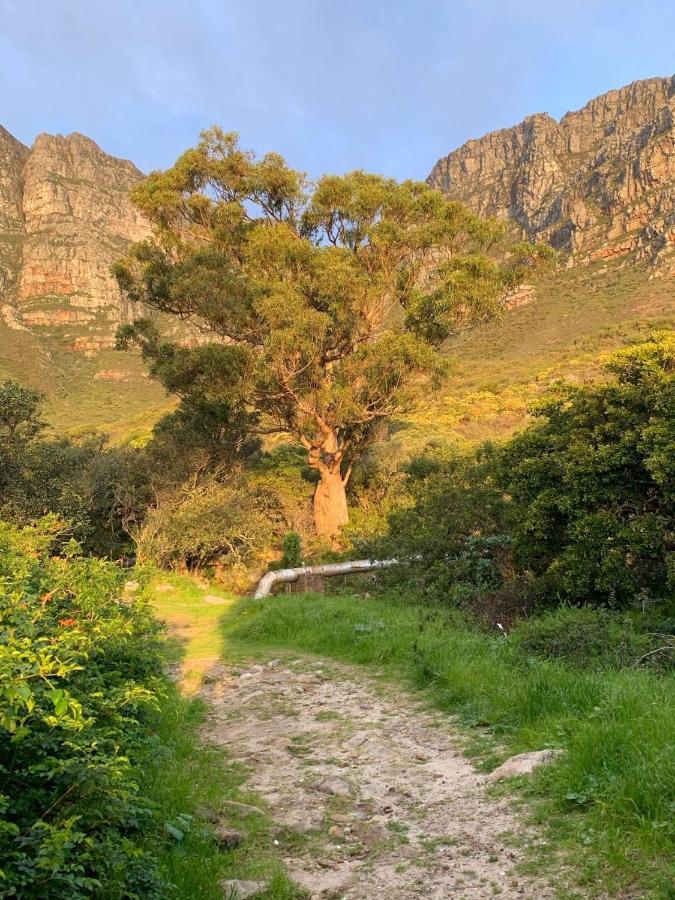 Mountain And Ocean Cape Town Exterior photo